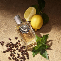 Dolce & Gabbana Devotion Pour Homme Eau de Parfum 100 ml