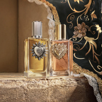 Dolce & Gabbana Devotion Pour Homme Eau de Parfum 100 ml