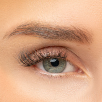 Perfect Fit Lash Wispy Dreams