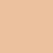 Conceal + Perfect Shine-Proof Powder 12,3 g ─ 02 Nude