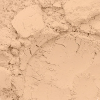 Conceal + Perfect Shine-Proof Powder 12,3 g ─ 02 Nude
