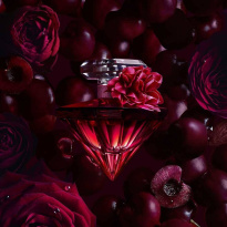 La Nuit Trésor Eau De Parfum Intense 50 ml