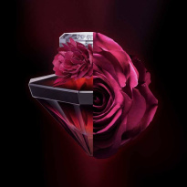 La Nuit Trésor Eau De Parfum Intense 50 ml