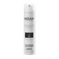Noah Color Spray Corrector Black 75ml Spray